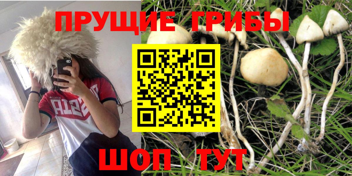 купить закладку  Вход с VPN  Нягань  Галлюциногенные грибы GOLDEN TEACHER 